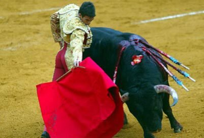 В испанской Каталонии прощаются с корридой