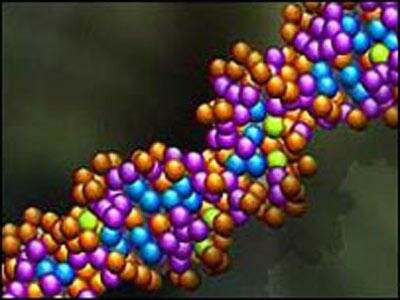 Расшифрован скрытый код в человеческой ДНК