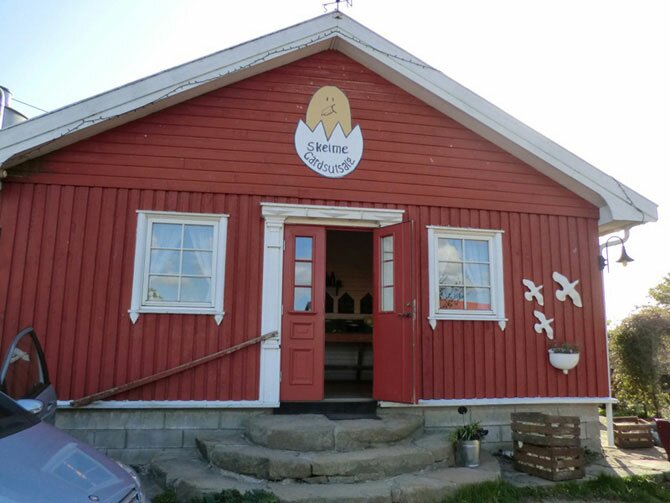 Необычный магазин без продавца в Норвегии