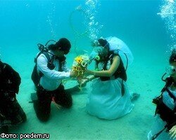 Самую большую свадьбу под водой сыграли в Польше