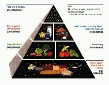 Продуктовая пирамида 1991 года включала мясо, домашнюю птицу, рыбу, яйца, сушеные бобы и орехи в одну группу, что вызвало мощное выражение несогласия со стороны мясной индустрии