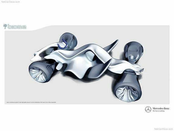 Внутрення структура Mercedes Biome Concept