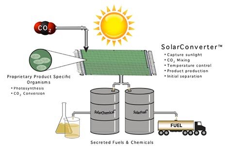 SolarConverter - использует фотосинтезирующие бактерии для производства биодизеля