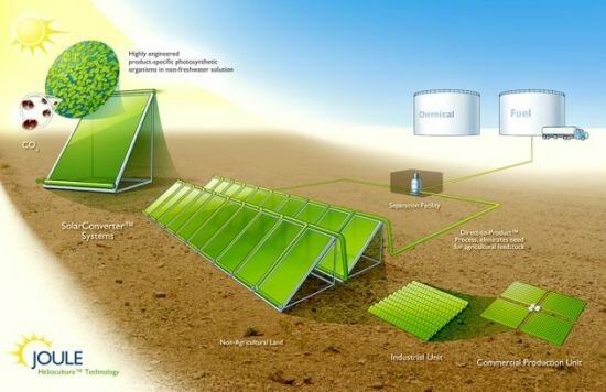 Установка по преобразованию CO2 в биодизель под влиянием солнечного света